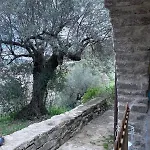 Le Stanze Del Conte Panzió 3*